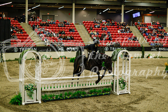 2025 - Haylee - Royal West - Saturday October 18th - 08431