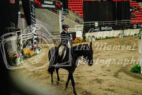 2025 - Haylee - Royal West - Saturday October 18th - 08437