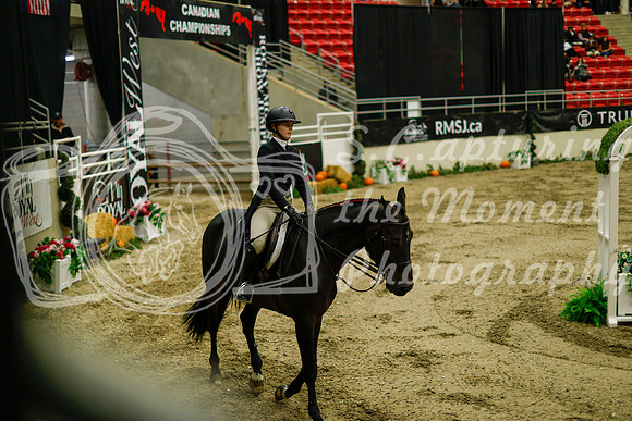 2025 - Haylee - Royal West - Saturday October 18th - 08438