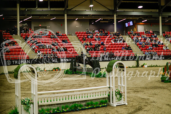 2025 - Haylee - Royal West - Saturday October 18th - 08436