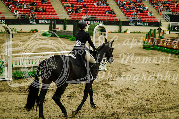 2025 - Haylee - Royal West - Saturday October 18th - 08439