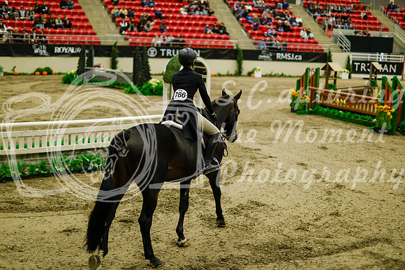 2025 - Haylee - Royal West - Saturday October 18th - 08440