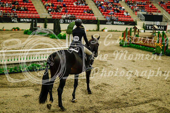 2025 - Haylee - Royal West - Saturday October 18th - 08441