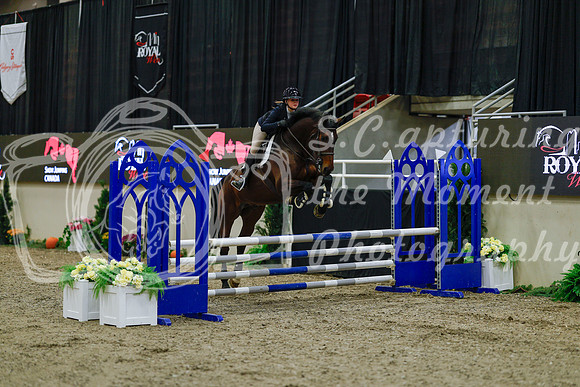 2025 - Haylee - Royal West - Sunday October 19th - 00267