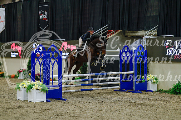 2025 - Haylee - Royal West - Sunday October 19th - 00269