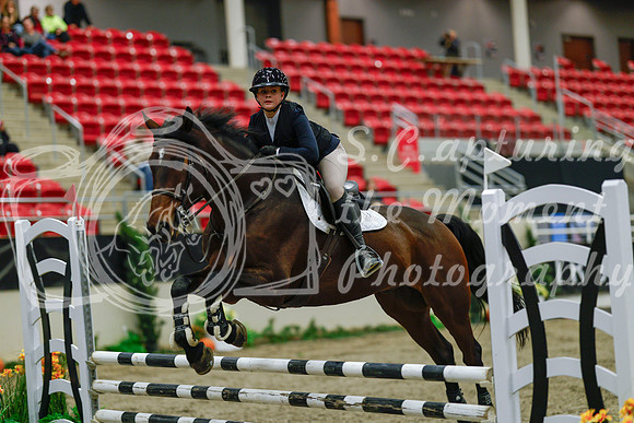 2025 - Haylee - Royal West - Sunday October 19th - 00295