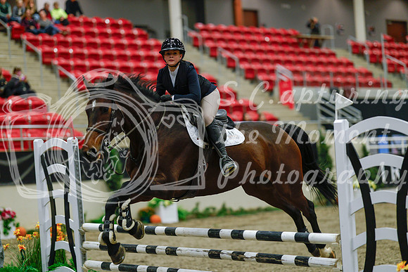 2025 - Haylee - Royal West - Sunday October 19th - 00297
