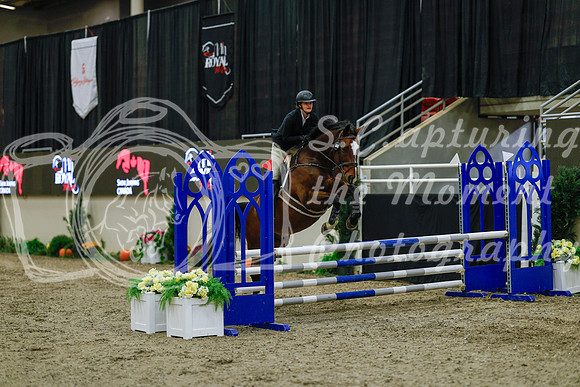 2025 - Haylee - Royal West - Sunday October 19th - 00654