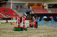2025 - Haylee - Royal West - Sunday October 19th - 00665