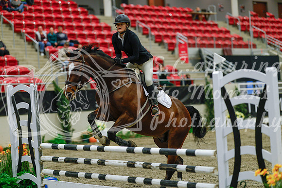 2025 - Haylee - Royal West - Sunday October 19th - 00686