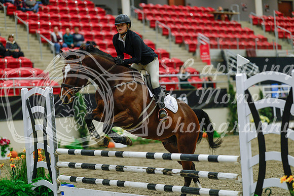 2025 - Haylee - Royal West - Sunday October 19th - 00688