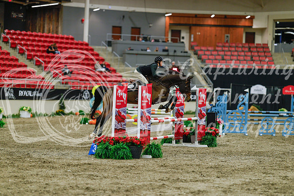 2025 - Haylee - Royal West - Sunday October 19th - 00803