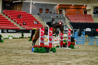 2025 - Haylee - Royal West - Sunday October 19th - 00802