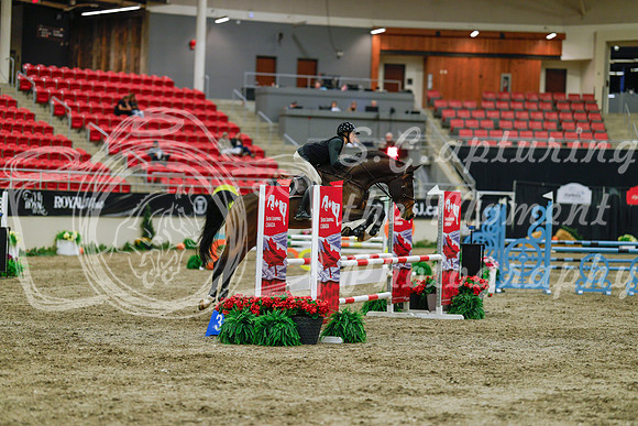 2025 - Haylee - Royal West - Sunday October 19th - 00802