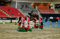 2025 - Haylee - Royal West - Sunday October 19th - 00804