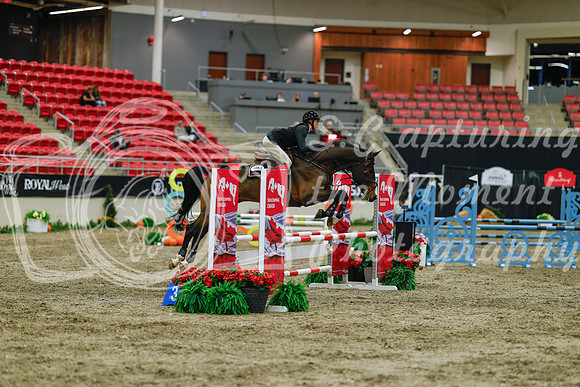 2025 - Haylee - Royal West - Sunday October 19th - 00804