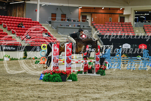 2025 - Haylee - Royal West - Sunday October 19th - 00805