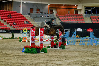 2025 - Haylee - Royal West - Sunday October 19th - 00807