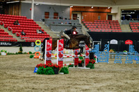 2025 - Haylee - Royal West - Sunday October 19th - 00806