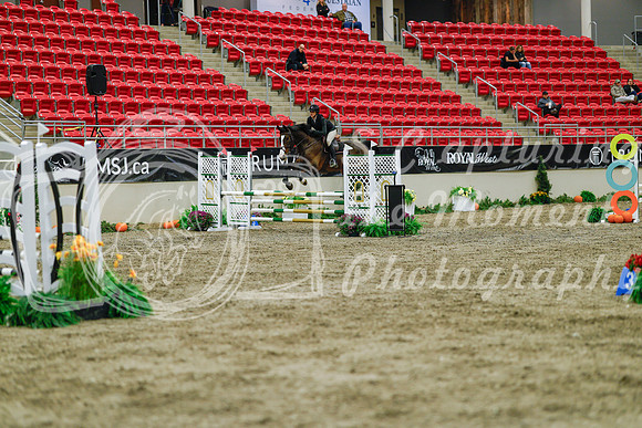 2025 - Haylee - Royal West - Sunday October 19th - 00810