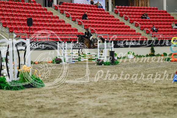 2025 - Haylee - Royal West - Sunday October 19th - 00812