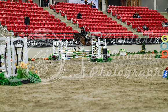 2025 - Haylee - Royal West - Sunday October 19th - 00811