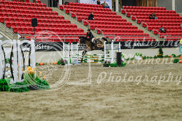 2025 - Haylee - Royal West - Sunday October 19th - 00815