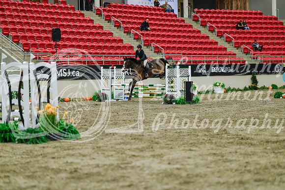 2025 - Haylee - Royal West - Sunday October 19th - 00816