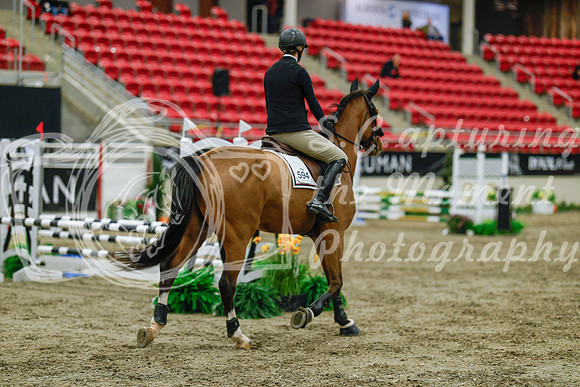 2025 - Haylee - Royal West - Sunday October 19th - 00843