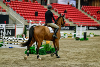 2025 - Haylee - Royal West - Sunday October 19th - 00844
