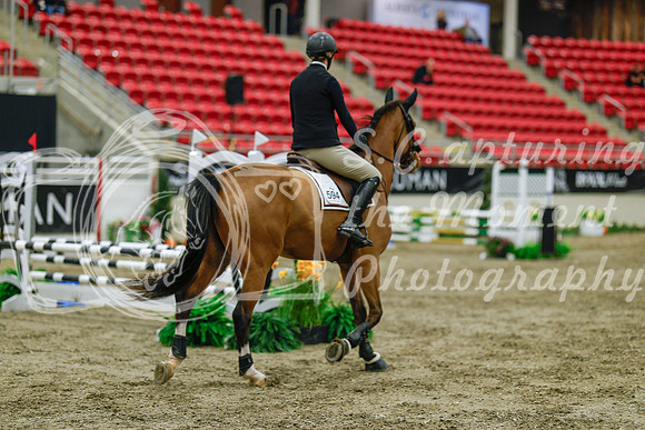 2025 - Haylee - Royal West - Sunday October 19th - 00844