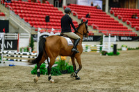 2025 - Haylee - Royal West - Sunday October 19th - 00845