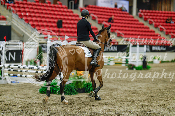 2025 - Haylee - Royal West - Sunday October 19th - 00845