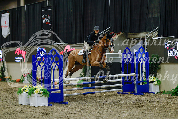 2025 - Haylee - Royal West - Sunday October 19th - 00855