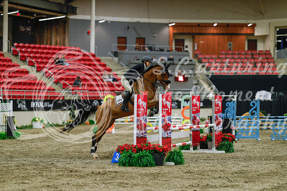 2025 - Haylee - Royal West - Sunday October 19th - 00857