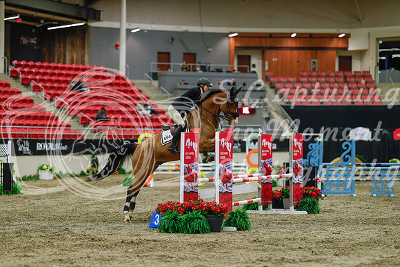 2025 - Haylee - Royal West - Sunday October 19th - 00858