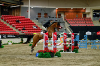 2025 - Haylee - Royal West - Sunday October 19th - 00859