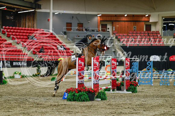 2025 - Haylee - Royal West - Sunday October 19th - 00859