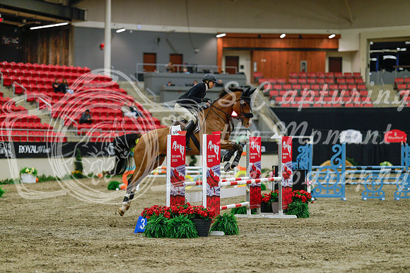 2025 - Haylee - Royal West - Sunday October 19th - 00861