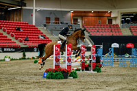 2025 - Haylee - Royal West - Sunday October 19th - 00862