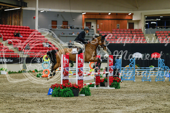 2025 - Haylee - Royal West - Sunday October 19th - 00864