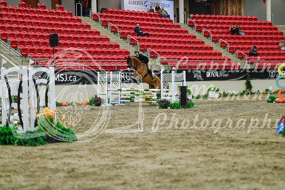 2025 - Haylee - Royal West - Sunday October 19th - 00865