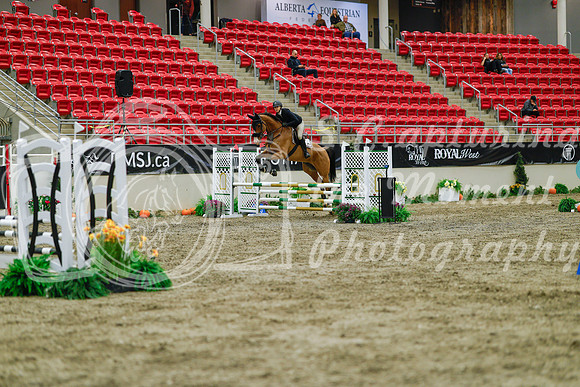 2025 - Haylee - Royal West - Sunday October 19th - 00870