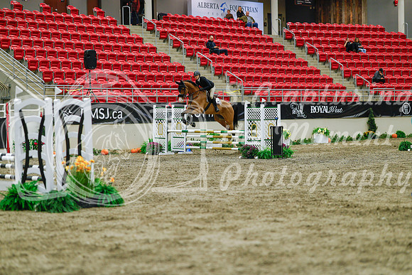2025 - Haylee - Royal West - Sunday October 19th - 00871
