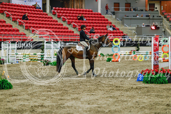 2025 - Haylee - Royal West - Sunday October 19th - 00930