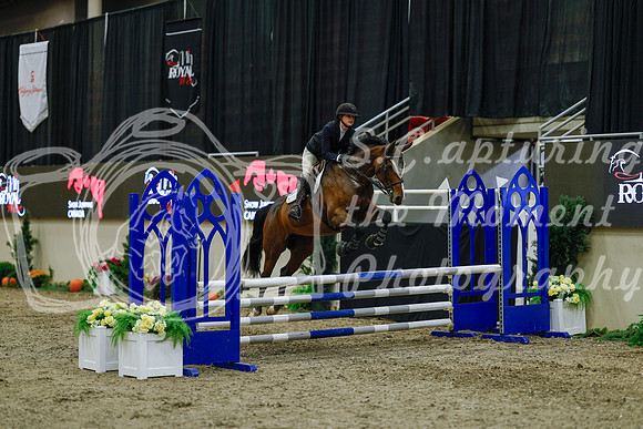2025 - Haylee - Royal West - Sunday October 19th - 00933