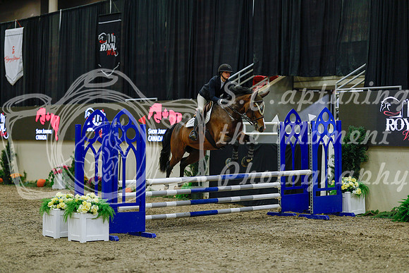 2025 - Haylee - Royal West - Sunday October 19th - 00935