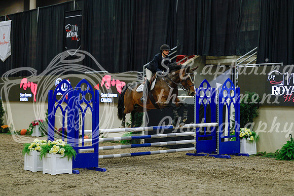 2025 - Haylee - Royal West - Sunday October 19th - 00937