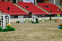 2025 - Haylee - Royal West - Sunday October 19th - 00943