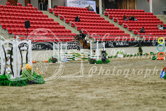 2025 - Haylee - Royal West - Sunday October 19th - 00946